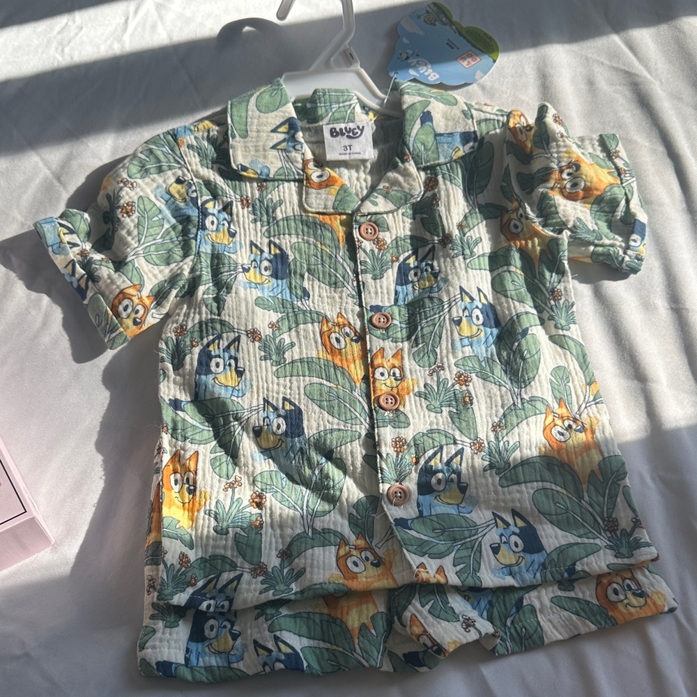 Toddler Bluey outfit 3T